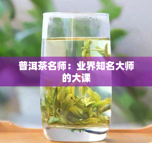 普洱茶名师：业界知名大师的大课