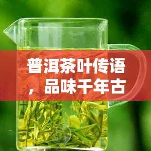 普洱茶叶传语，品味千年古韵，领略普洱茶香——探寻中国茶文化的魅力之旅