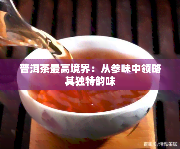 普洱茶更高境界：从参味中领略其独特韵味