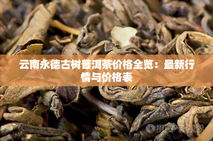 云南永德古树普洱茶价格全览：最新行情与价格表