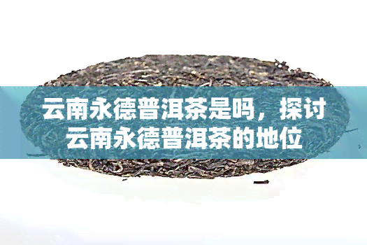 云南永德普洱茶是吗，探讨云南永德普洱茶的地位