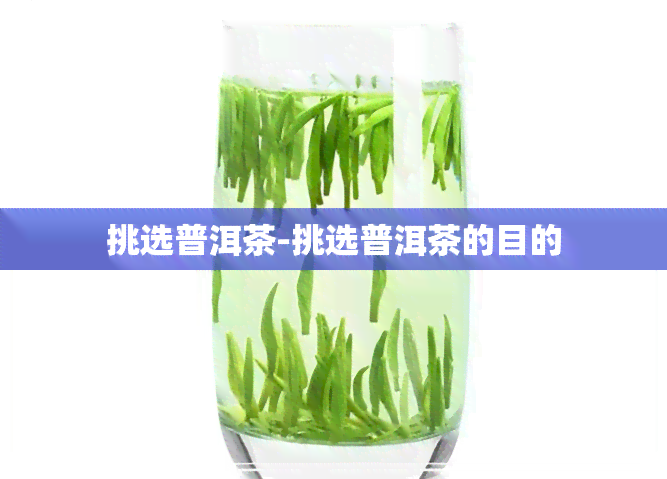 挑选普洱茶-挑选普洱茶的目的