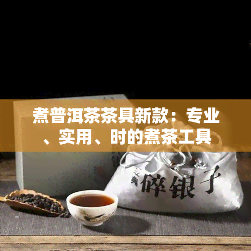 煮普洱茶茶具新款：专业、实用、时的煮茶工具