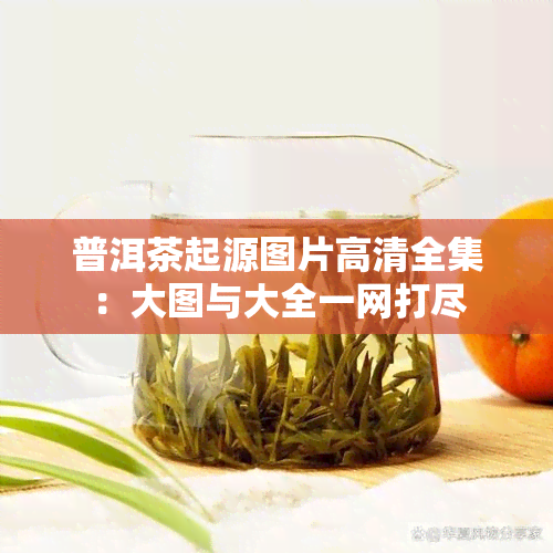 普洱茶起源图片高清全集：大图与大全一网打尽