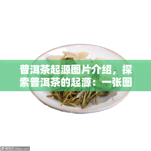 普洱茶起源图片介绍，探索普洱茶的起源：一张图带你了解其历与文化