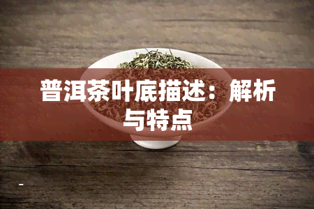 普洱茶叶底描述：解析与特点