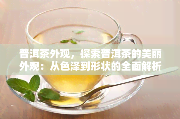 普洱茶外观，探索普洱茶的美丽外观：从色泽到形状的全面解析