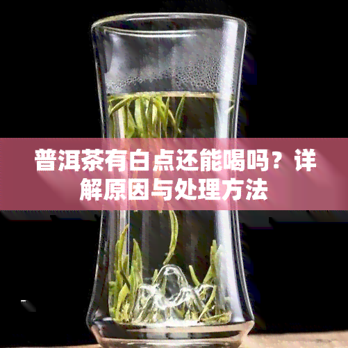 普洱茶有白点还能喝吗？详解原因与处理方法