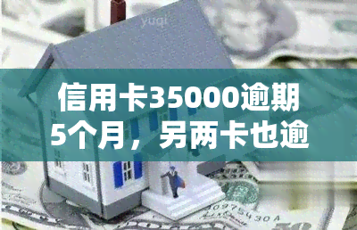 信用卡35000逾期5个月，另两卡也逾期：5万逾期3月，50000逾期4月