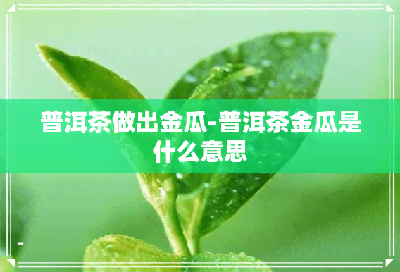 普洱茶做出金瓜-普洱茶金瓜是什么意思