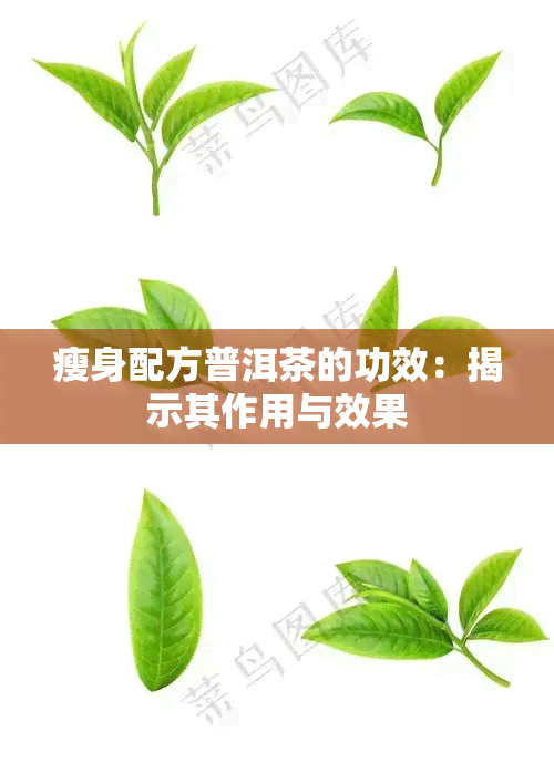 瘦身配方普洱茶的功效：揭示其作用与效果