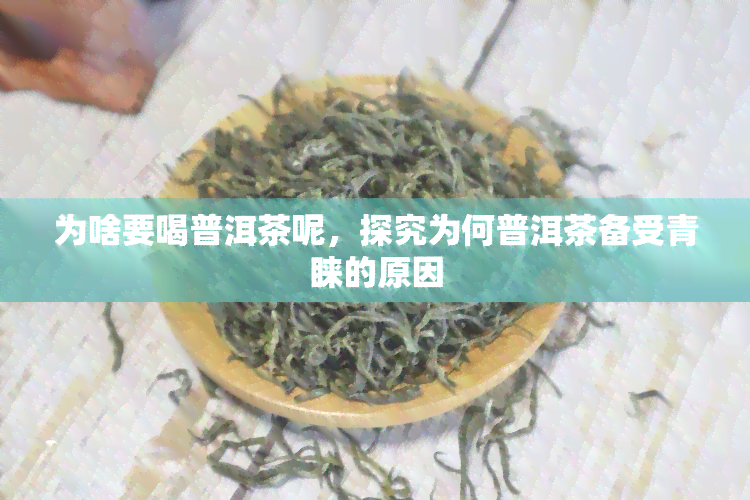 为啥要喝普洱茶呢，探究为何普洱茶备受青睐的原因