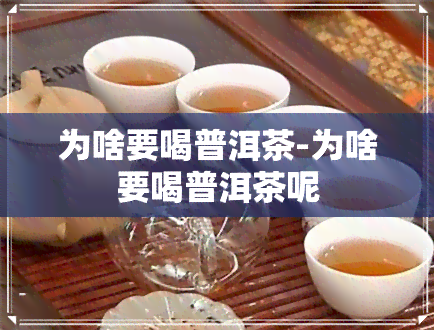 为啥要喝普洱茶-为啥要喝普洱茶呢