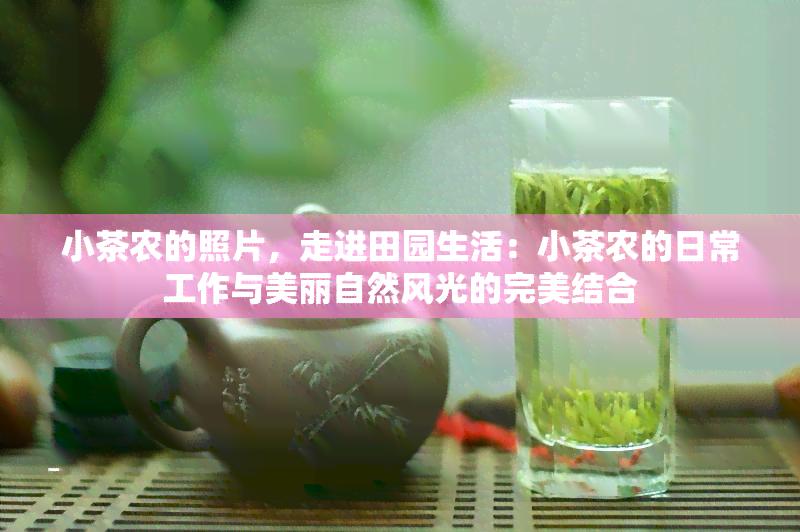 小茶农的照片，走进田园生活：小茶农的日常工作与美丽自然风光的完美结合