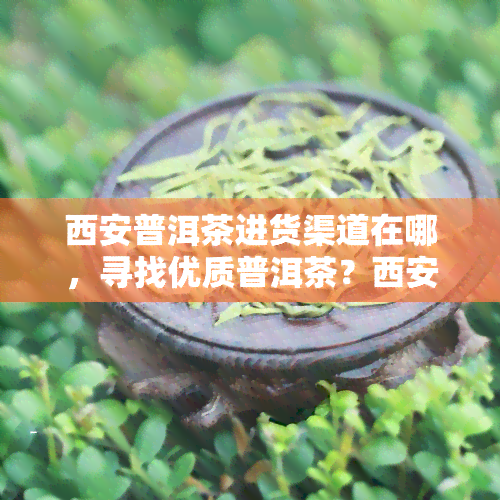 西安普洱茶进货渠道在哪，寻找优质普洱茶？西安的进货渠道在这里！