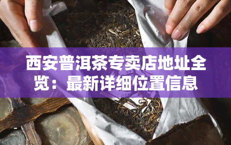 西安普洱茶专卖店地址全览：最新详细位置信息