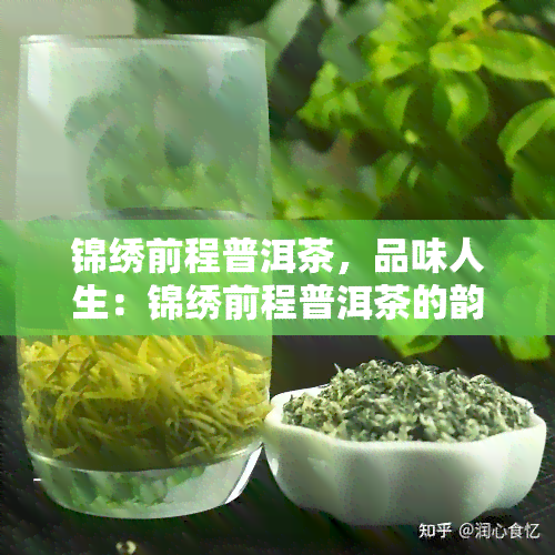 锦绣前程普洱茶，品味人生：锦绣前程普洱茶的韵味与故事