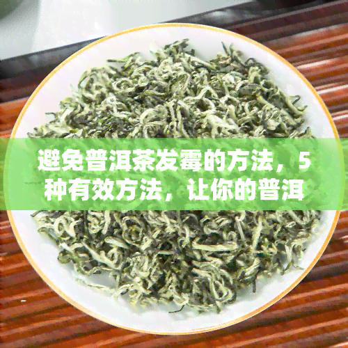 避免普洱茶发霉的方法，5种有效方法，让你的普洱茶远离霉变！