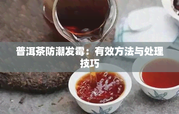 普洱茶防潮发霉：有效方法与处理技巧