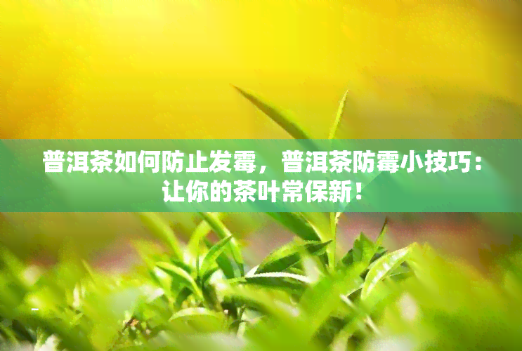 普洱茶如何防止发霉，普洱茶防霉小技巧：让你的茶叶常保新！