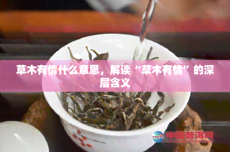 草木有情什么意思，解读“草木有情”的深层含义