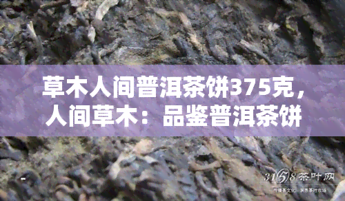 草木人间普洱茶饼375克，人间草木：品鉴普洱茶饼，375克装，尽享醇厚韵味