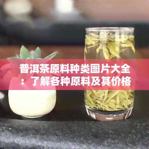 普洱茶原料种类图片大全：了解各种原料及其价格