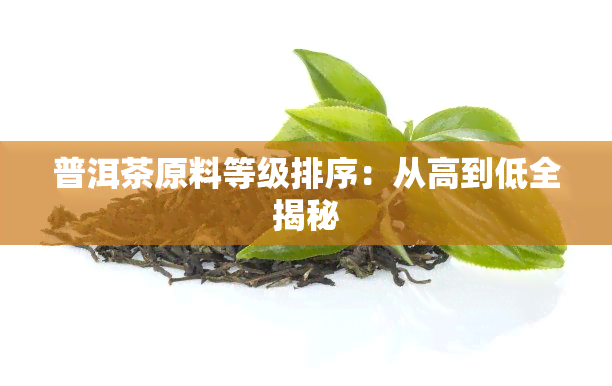 普洱茶原料等级排序：从高到低全揭秘