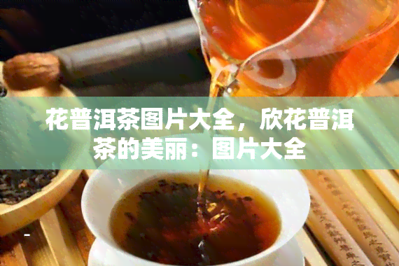 花普洱茶图片大全，欣花普洱茶的美丽：图片大全