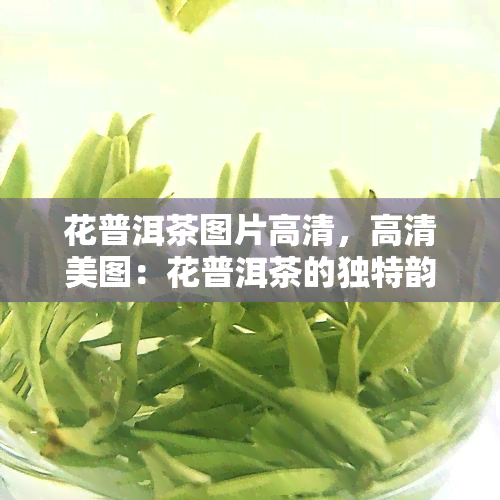 花普洱茶图片高清，高清美图：花普洱茶的独特韵味与魅力