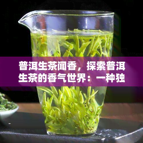 普洱生茶闻香，探索普洱生茶的香气世界：一种独特的嗅觉体验