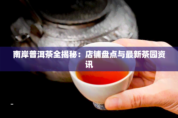 南岸普洱茶全揭秘：店铺盘点与最新茶园资讯