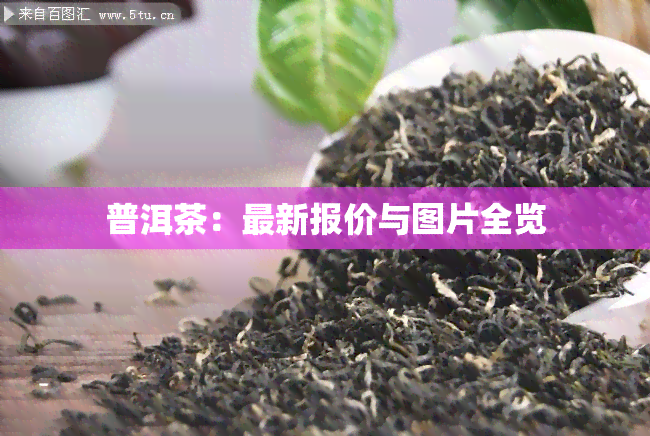 普洱茶：最新报价与图片全览