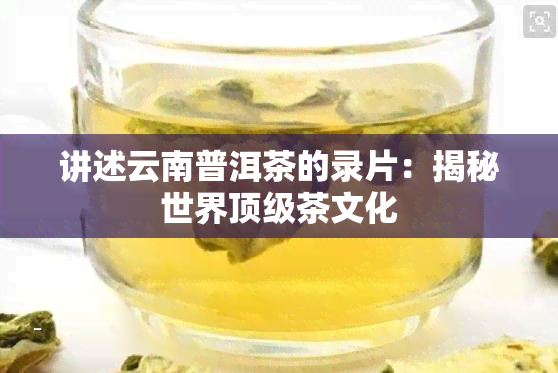 讲述云南普洱茶的录片：揭秘世界顶级茶文化