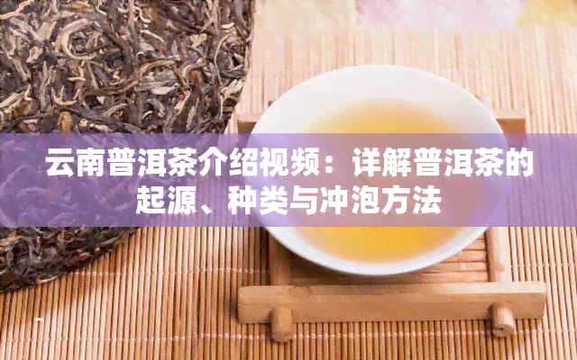 云南普洱茶介绍视频：详解普洱茶的起源、种类与冲泡方法