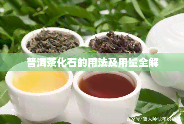 普洱茶化石的用法及用量全解