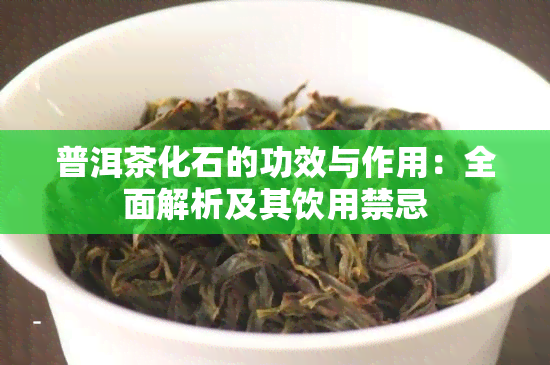 普洱茶化石的功效与作用：全面解析及其饮用禁忌