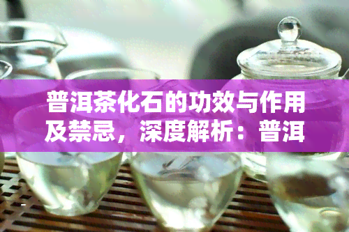 普洱茶化石的功效与作用及禁忌，深度解析：普洱茶化石的神奇功效、作用以及使用禁忌