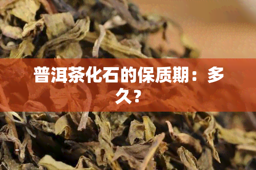 普洱茶化石的保质期：多久？