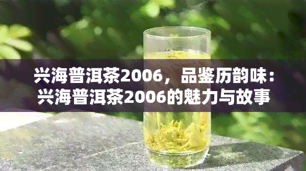 兴海普洱茶2006，品鉴历韵味：兴海普洱茶2006的魅力与故事