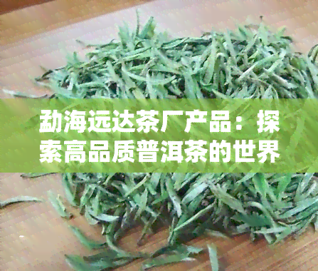 勐海远达茶厂产品：探索高品质普洱茶的世界