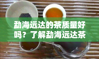 勐海远达的茶质量好吗？了解勐海远达茶业及产品信息