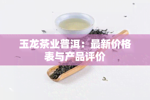 玉龙茶业普洱：最新价格表与产品评价