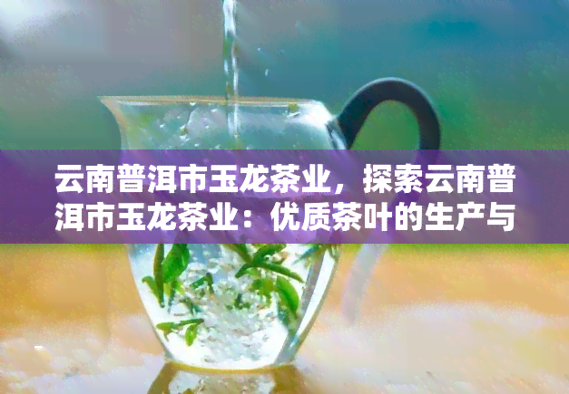 云南普洱市玉龙茶业，探索云南普洱市玉龙茶业：优质茶叶的生产与销售