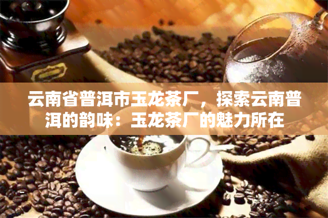 云南省普洱市玉龙茶厂，探索云南普洱的韵味：玉龙茶厂的魅力所在