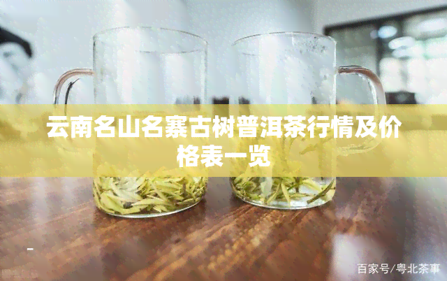 云南名山名寨古树普洱茶行情及价格表一览