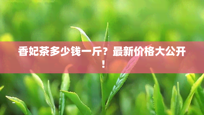 香妃茶多少钱一斤？最新价格大公开！