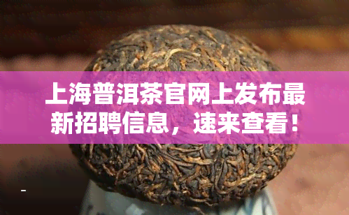 上海普洱茶官网上发布最新招聘信息，速来查看！