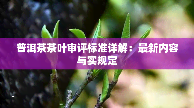 普洱茶茶叶审评标准详解：最新内容与实规定