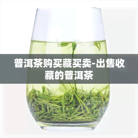 普洱茶购买藏买卖-出售收藏的普洱茶